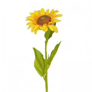GIRASOLE ramo singolo GI -yellow *