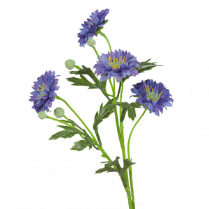 FIORDALISO X4 H55cm FI -blue *