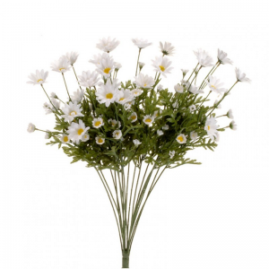 MARGHERITA BUSH X18 H60cm MA -white *