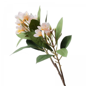 PLUMERIA RAMO H88 PL - pink *