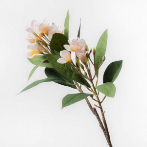 PLUMERIA RAMO H88 PL - pink *