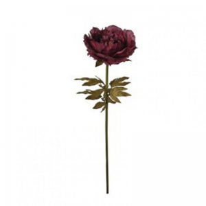PEONIA ramo GIGANTE H110 PE - wine