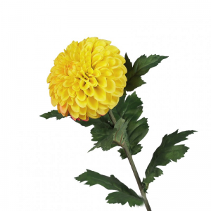 DALIA RAMO H74 cm DA -giallo *