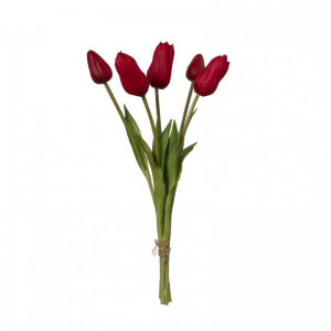 TULIPANO mazzo H48 TU - red*