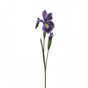 IRIS RAMO X2 H68 IR - dark purple *