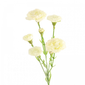 GAROFANELLA X7 H68 cm GA1,65-white *