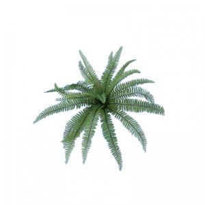 FELCE PIANTA H58cm FE - green *