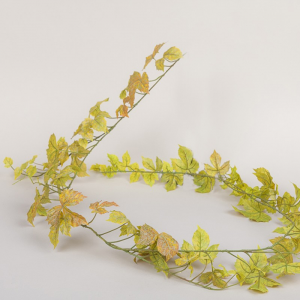 FESTONE ACERO H180 FE - yellow/gr*