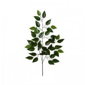 FICUS ramo foglia X42 H61 FO - green *