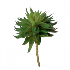 PIANTA GRASSA H18cm PG - green *
