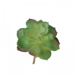 PIANTA GRASSA H16cm PG - green *