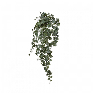 EDERA CADENTE H100 CD - frosted green *