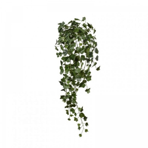 EDERA CADENTE H100 CD - green*