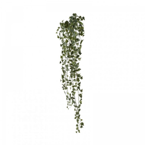 EDERA CADENTE H180 CD - variegated *