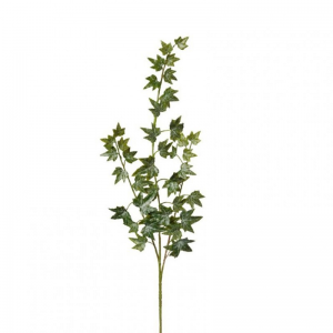 EDERA RAMO X3 H57 ED - frosted green *