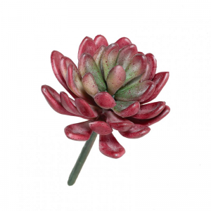 PIANTA GRASSA D8 H11cm PG - green *