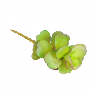 PIANTA GRASSA H23cm PG - green *