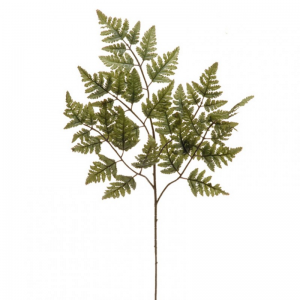 FOGLIA FELCE X5 H70 FE -green *