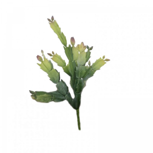 PIANTA GRASSA H32cm PG - green *