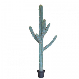 PIANTA CACTUS C/VASO H210cm PN - green*