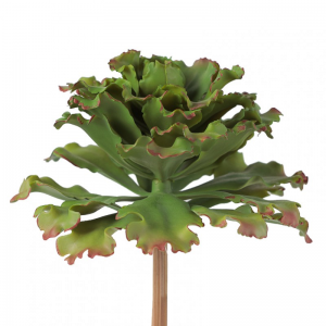 PIANTA agave D22 H23,5cm PG - green*