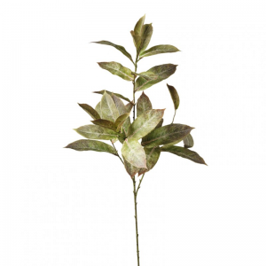 FOGLIA PHOTINIA ramo H26 FO - green *