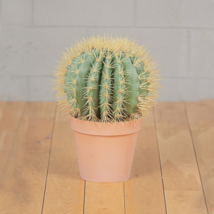 PIANTA CACTUS C/VASO 37,5XH48 PN-green*