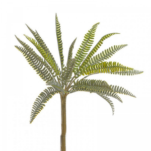 FOGLIA FELCE mazzo H45cm FE -green *