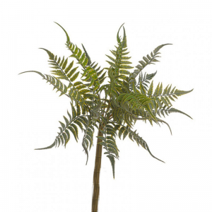 FOGLIE FELCE mazzo H46cm FE -green *