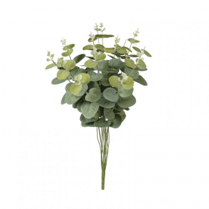 EUCALIPTO mazzo H46 EU - green *