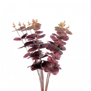 EUCALIPTO mazzo H46 EU - purple *