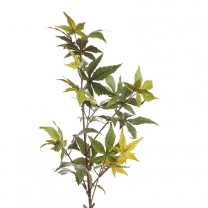 FOGLIA ACERO H94 cm FO - green *