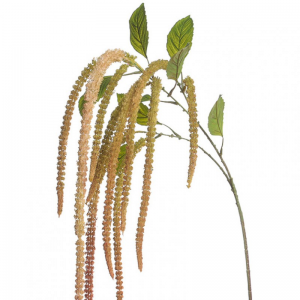 AMARANTHUS H132 cm AM - green *