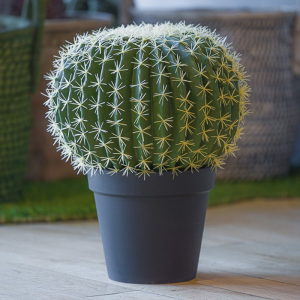 PIANTA CACTUS C/VASO 33XH45 PN - green*