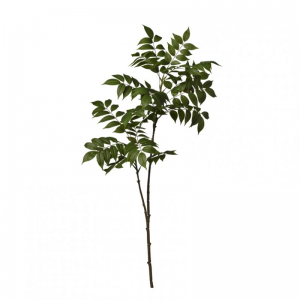 GLICINE ramo foglia H107 FO - green *