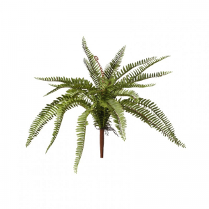 FOGLIA FELCE mazzo H50 CM FE - green *