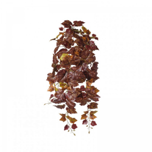 VITE CADENTE X11 H82 CD - wine *