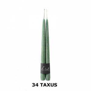 CANDELE pz2 mm300x22 (300/22)-taxus