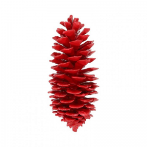 PIGNA SUGAR CERATA 35cm - red