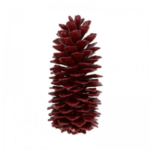 PIGNA SUGAR CERATA 35cm - wine red