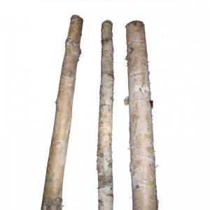 TRONCO BETULLA 200cm D4/6 - naturale