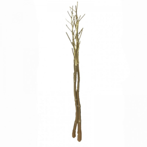 FREGOLA NATURALE 3pz 180CM -oro
