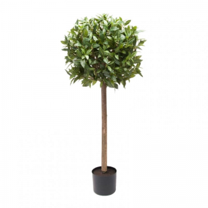 PIANTA LAURO SFERA H90CM PN *