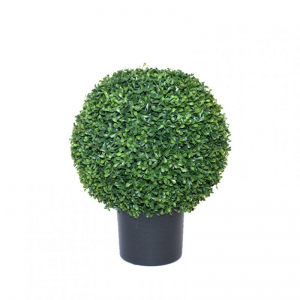 PIANTA BOSSO C/V D38 H46 PN - green *