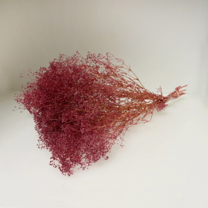 MINI GIPSOFILA 50GR H48 CM- lampone