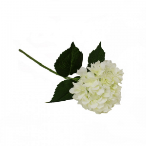 ORTENSIA H69 cm OR -white *