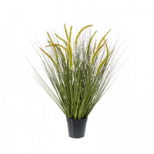 PIANTA ERBA CATTAIL CM 70 PN *