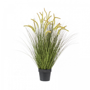 PIANTA ERBA CATTAIL CM 100 PN *