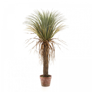 PIANTA YUCCA H110 CM PN *