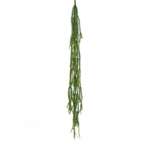 EPIFILLO CADENTE H120 CM CD *
